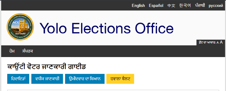 Translated Ballot 4 - Punjabi